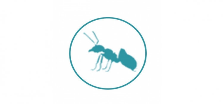 苏州灭白蚁防治步骤有哪些？